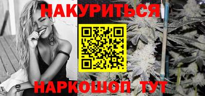 сатива Заводоуковск